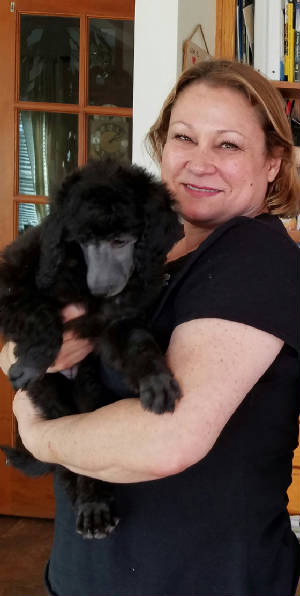 Corrie goes home with her seventh Corbacho poodle